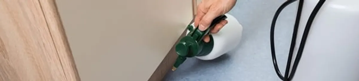 Bed bug exterminator treating baseboards and cracks with targeted spray in Irvine, CA