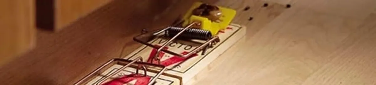 Rodent trap set indoors for rodent control and prevention in Irvine, CA